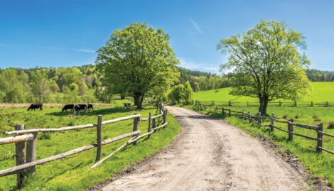 Techniques for Establishing Quality Pasture Image